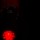 Парасолька-міні автомат з ліхтариком Fare 5471 червоний (5471-red) + 3